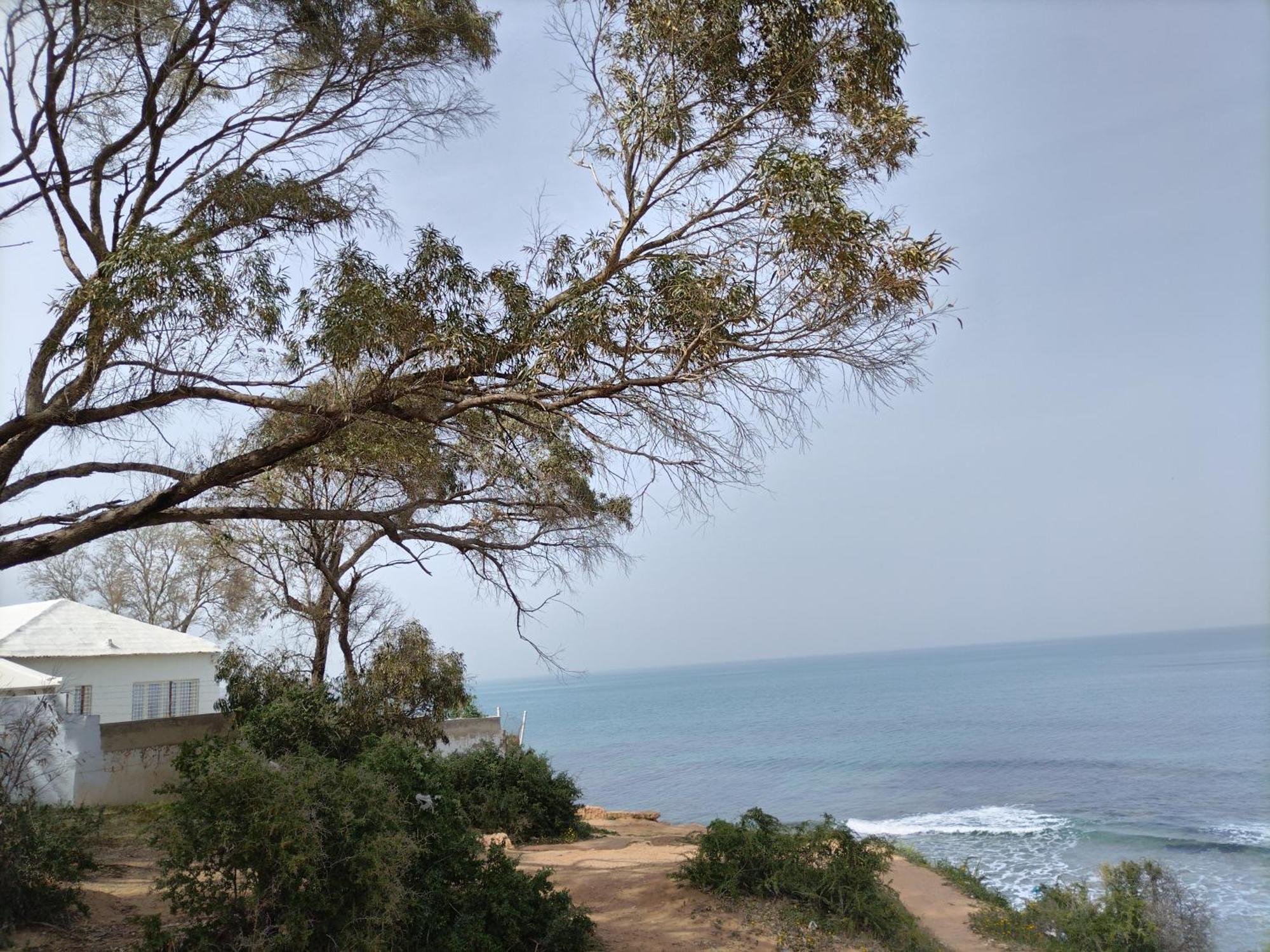 Marsa-Sidi Bousaid Cosy Authentic Apartment 拉马萨 外观 照片